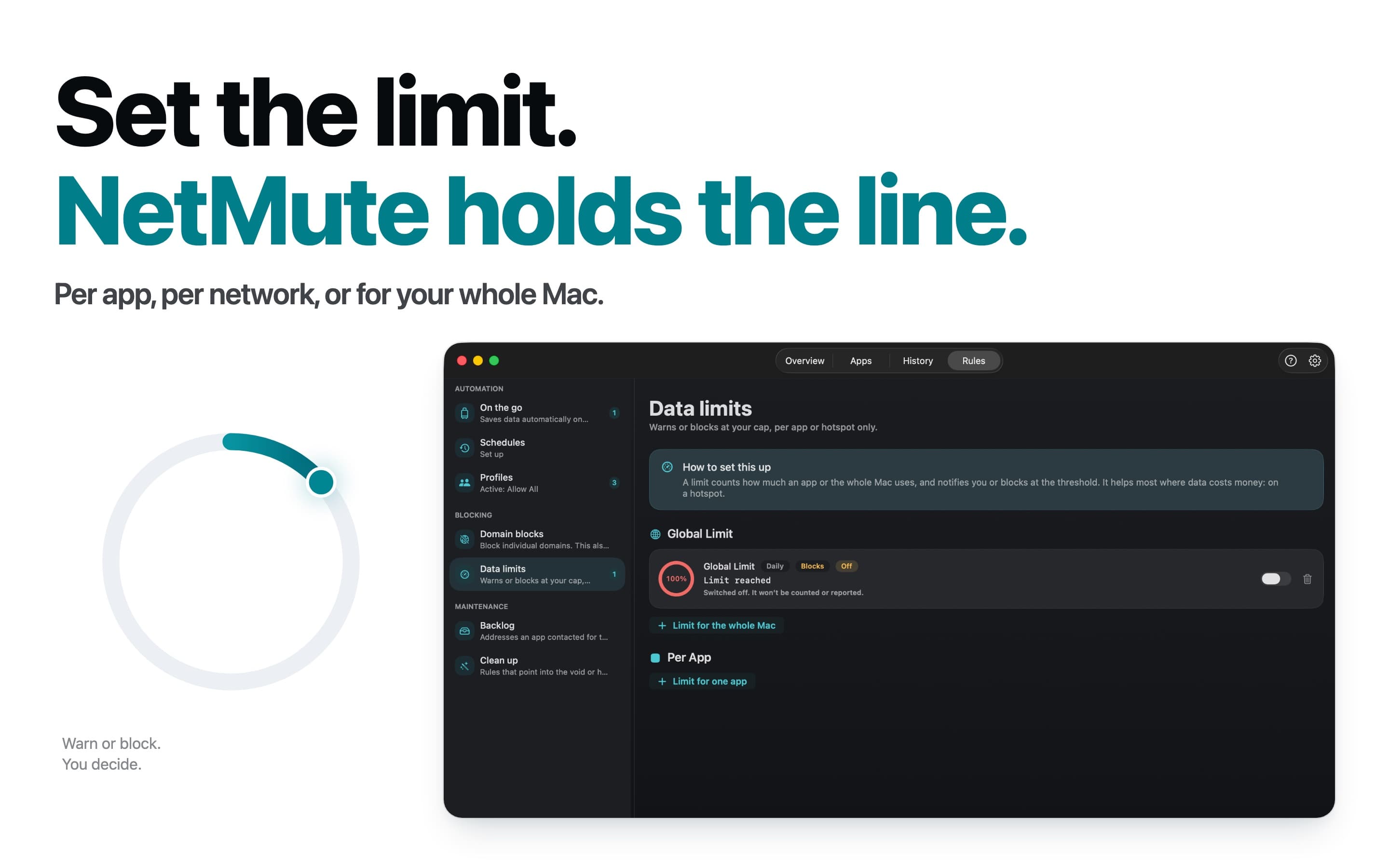 Data limits per app, network or Mac